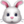 🐰